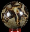 Polished Septarian Sphere - Madagascar #60527-1
